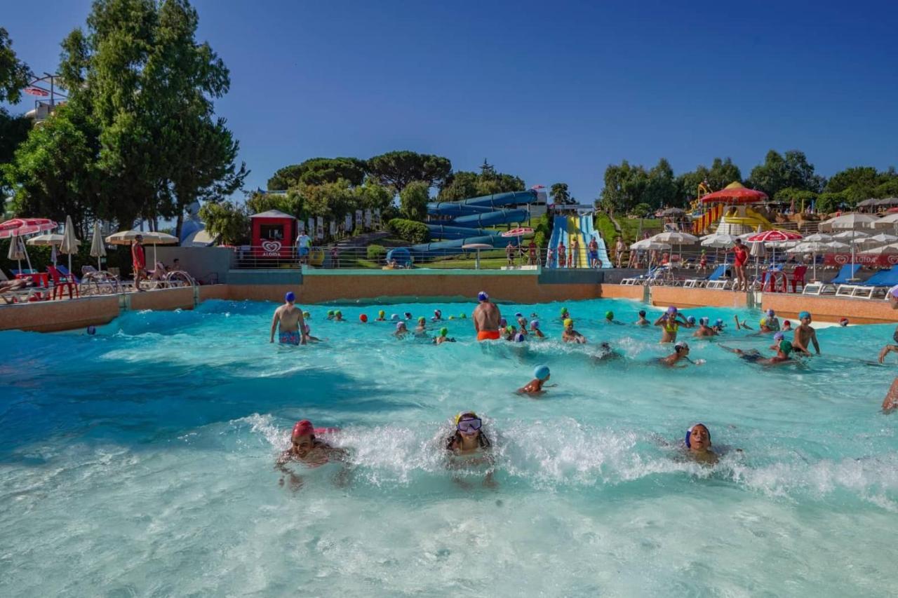 Cicas Sul Mare